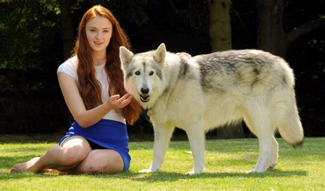 sophie turner game of thrones actress adopts sansa stark direwolf lady in real life