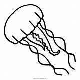 Medusa Gelatina Jellyfish Stampare Ultracoloringpages sketch template