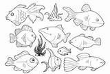 Coloring Fish Pages River Kids Amazon Print sketch template