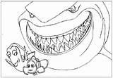 Nemo Colorear Shark Procurando Buscando Pintarcolorear Ecoloring sketch template