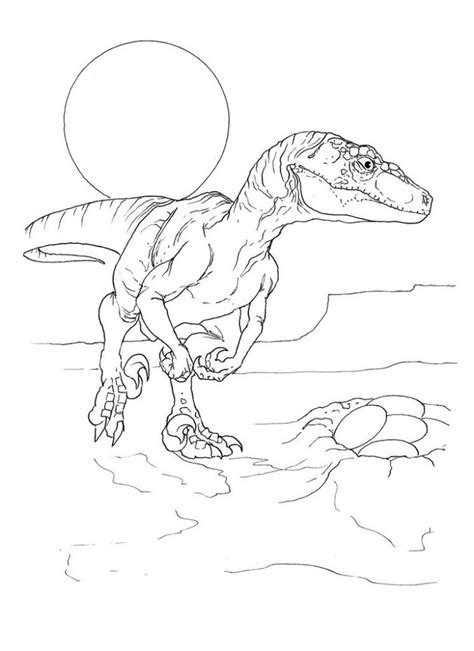 velociraptor coloring pages  coloring pages  kids