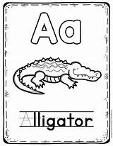Alligator Tracing sketch template