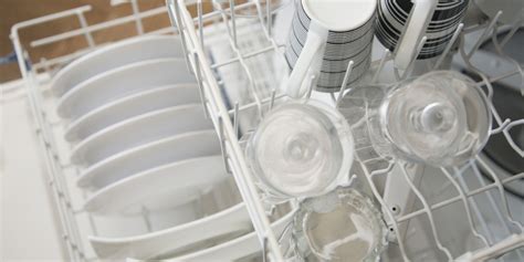 gross reason    deep clean  dishwasher   year