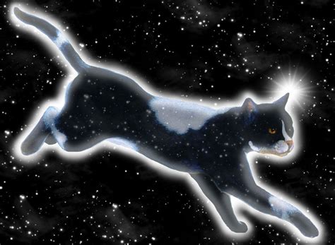 tallstar  starclan  em silverflake  deviantart warrior cat warrior cats warrior cats