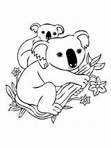 Koala Coloring Pages Baby Printable Mother Kids sketch template