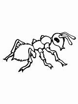 Ant Formica Ameise Realistica Hormigas Ameisen Ausmalen Ausmalbild Malvorlage Ants Cicala Precious Categorie Dots Formiche Dot sketch template