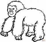 Coloring Pages Gorilla Printable Clipart Gorillas Drawing Cartoon Categories Projects Gif Apes sketch template