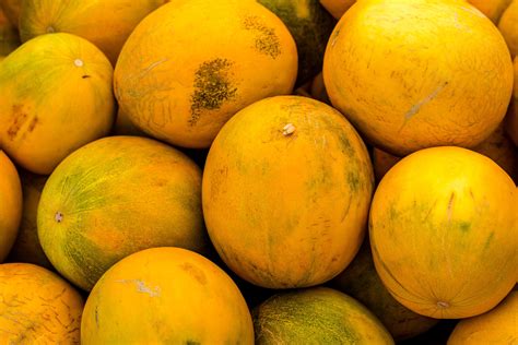 yellow melons royalty  stock photo
