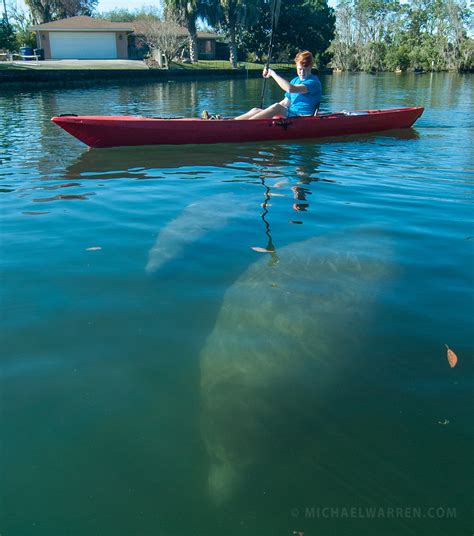 kayaking trips  florida