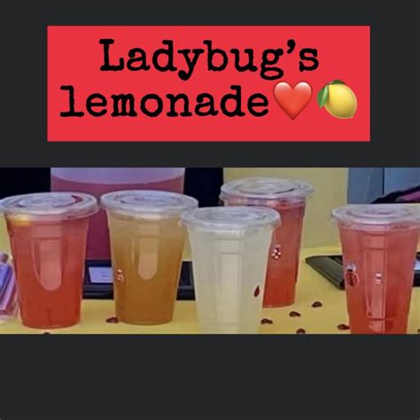 ladybug s lemonade stand