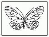 Coloring Eric Carle Butterfly Printable Sheet Popular sketch template
