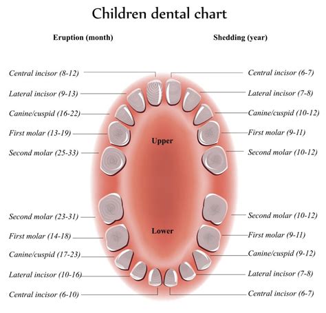 educating parents  children   importance  dental hygiene