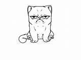 Grumpy Cat Coloring Designlooter 768px 62kb 1024 sketch template