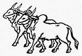 Buey Bullock Wagon Oxen Mula Bovine Ganado Bovino Klipartz Webstockreview sketch template