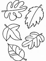 Herfst Blaadjes Bladeren Herfstbladeren Bezoeken Knutselen sketch template