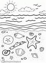 Coloring Tide Pool Pages Designlooter 93kb 300px sketch template