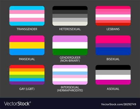 set of lgbt pride flags gays lesbians asexuals transsexuals