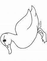 Clipart Duck Clip Drawing Outline Library Cliparts sketch template