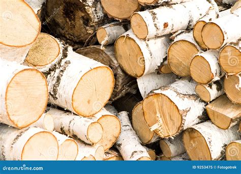 logs stock image image  logging forest economy bark
