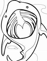 Shark Elefante Squalo Basking Hammerhead Animali Pesci Clipartmag Printmania sketch template