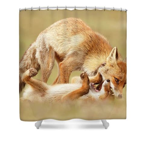 love bites mother fox and fox kit shower curtain for sale by