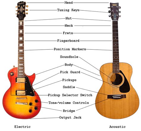 overview  guitar parts electric acoustic guitar anatomy