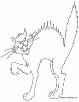 Cat Coloring Pages Cats Colouring Warrior Scary Color Printable Splat Print Halloween Getcolorings Comments Coloringhome Getdrawings Popular Colorings sketch template