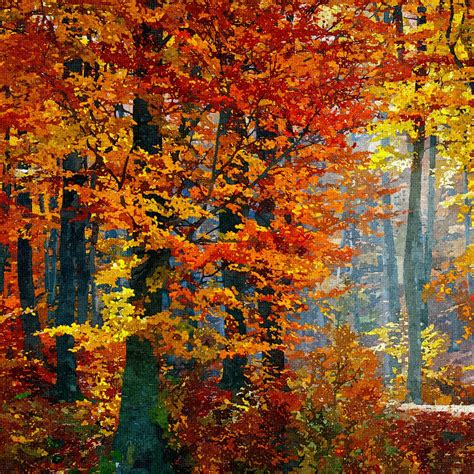 forest painting autumn trees  stock photo public domain pictures