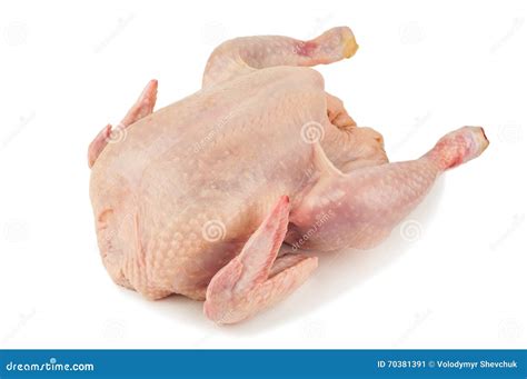 raw chicken carcass  white stock image image  chicken meal