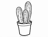 Kaktus Ausmalbilder Ultracoloringpages sketch template