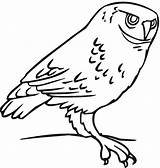 Owl Coloringme Coloring Pages sketch template