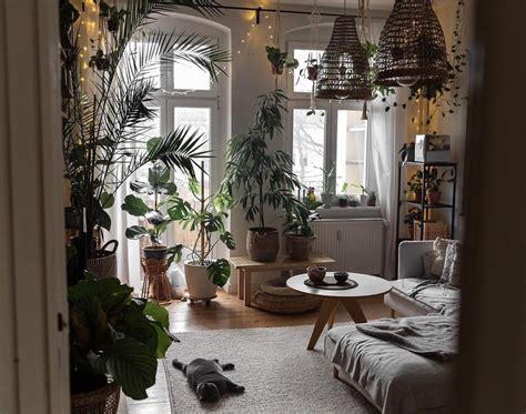 instagram in 2020 plant decor plant decor indoor