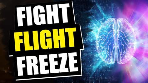 fight flight freeze youtube