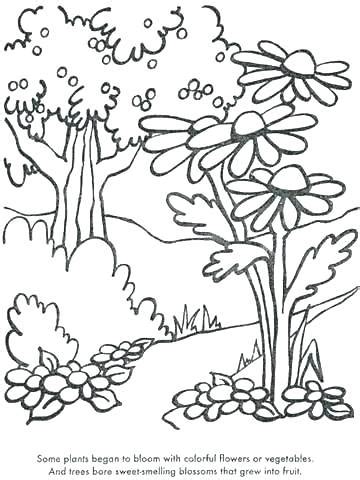 coloring pages trees plants  flowers  getcoloringscom