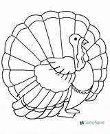 Turkey Coloring Pages Printable Wild sketch template