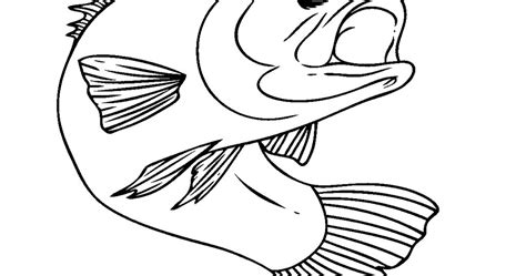 largemouth bass coloring page