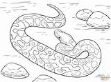 Python Drawing Snake Ball Getdrawings Coloring sketch template