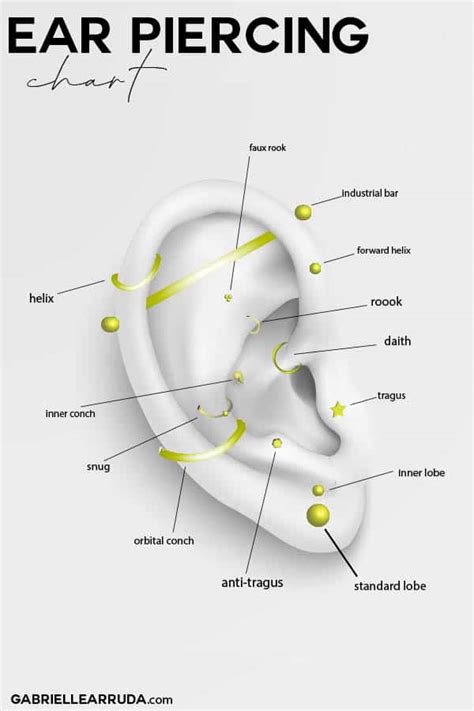 Various Types Of Ear Piercings Ear Piercings Chart Piercing