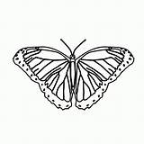 Schmetterling Fensterbilder Malvorlagen Kinderbilder Fuchs sketch template
