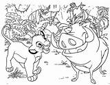 Timon Simba Pumbaa sketch template