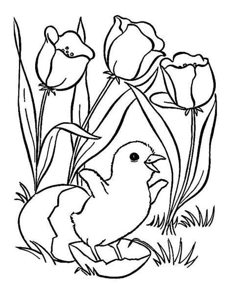 bird sitting   grass   tulips   egg   smaller