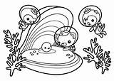 Coloring Pages Oyster Shell Octonauts Printable Getdrawings Getcolorings sketch template