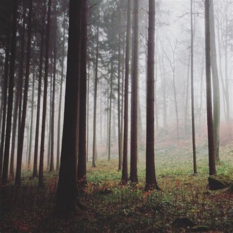 czech the count — mysterious mist from the instagram of