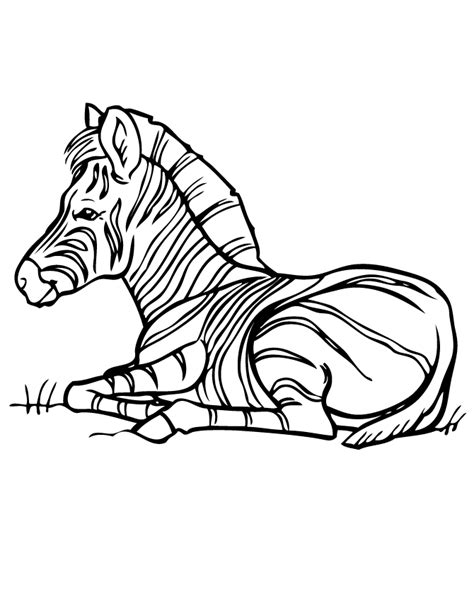 zebra coloring pages books    printable