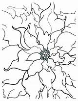 Poinsettia sketch template