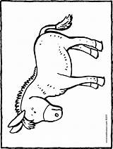 Kleurplaat Esel Ausmalen Ausmalbild Malvorlagen Ausdrucken Ezel Mal Osternest Getrouwd Kiddicolour Geschenke sketch template