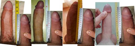 compare in gallery cock comparing picture 1 uploaded by little austrian on