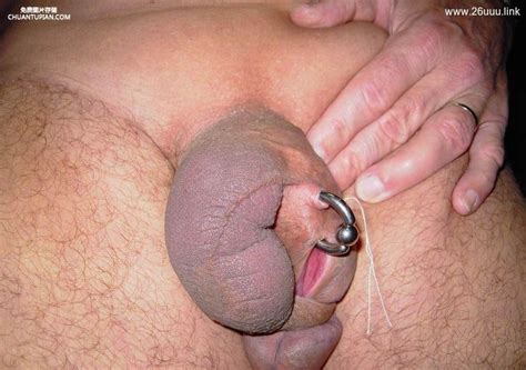 Extreme Modification Of The Penis 85 Pics Xhamster