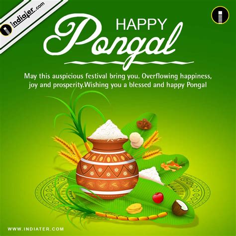 pongal festival  cards  wishes psd template indiater