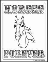 Colorwithfuzzy Riding Pony sketch template